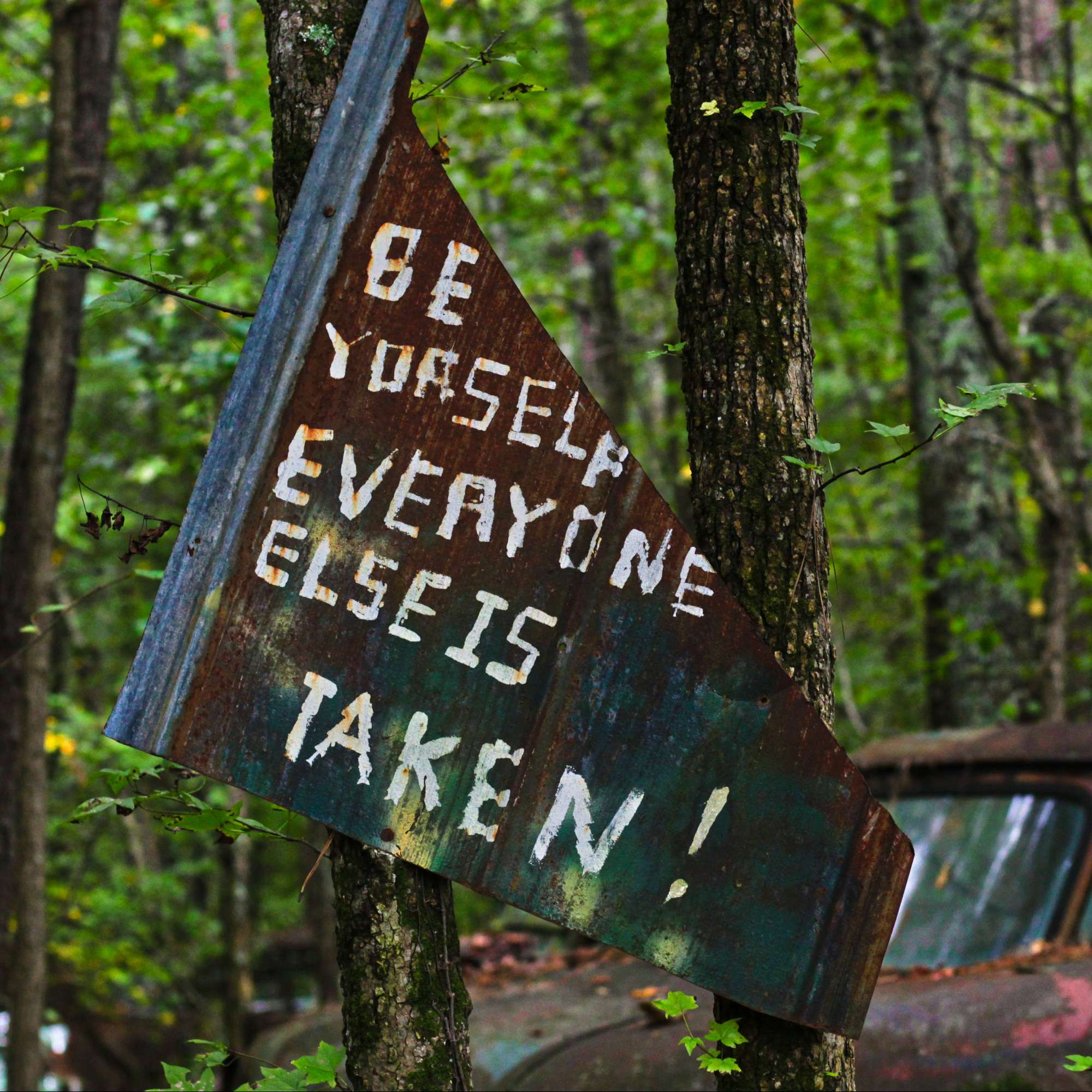 Read more about the article Own Yourself: The Power of Self-Esteem and Confidence